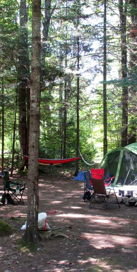 Tentsite with Hammock